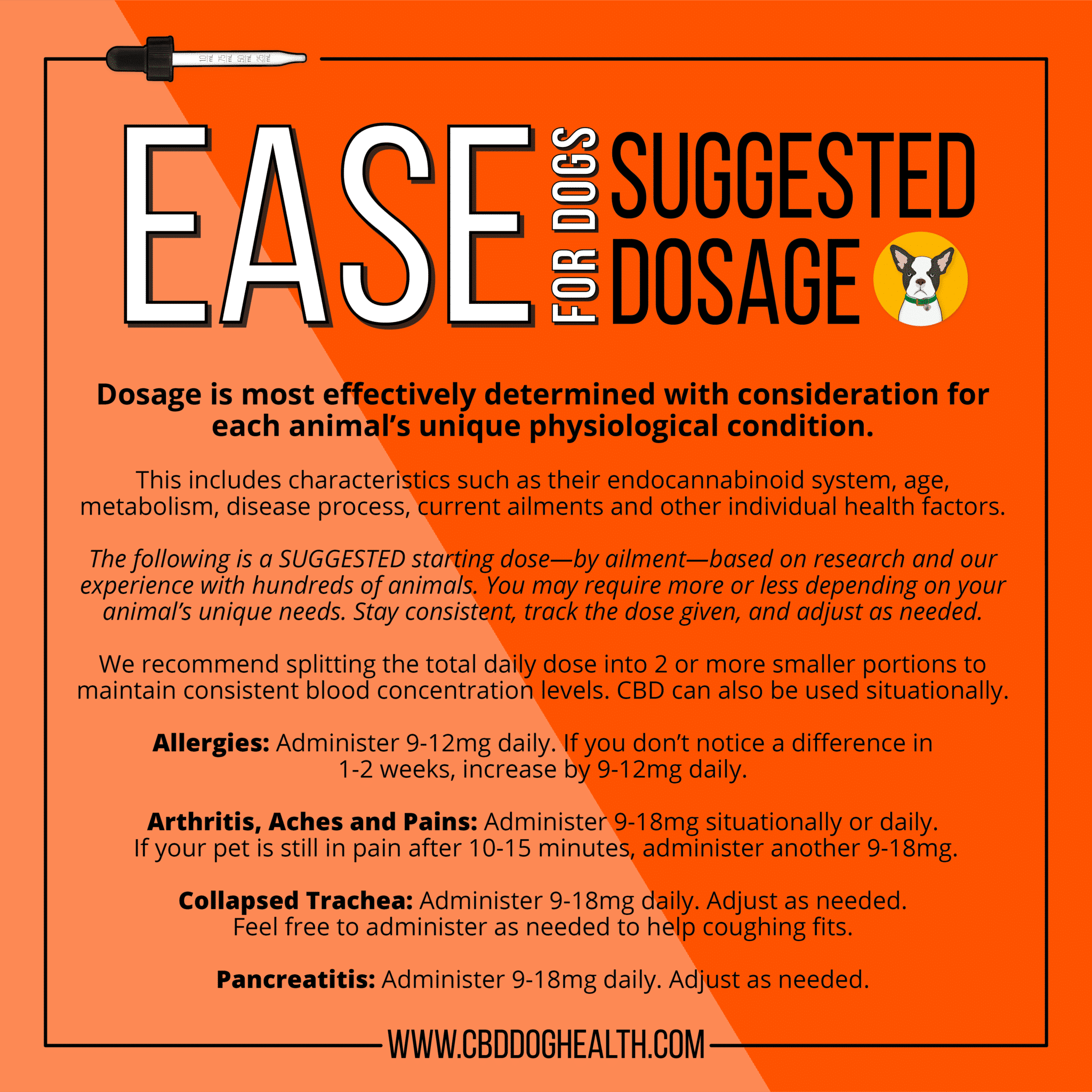 EASE Dog - Image 7