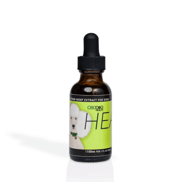 HEAL Dog