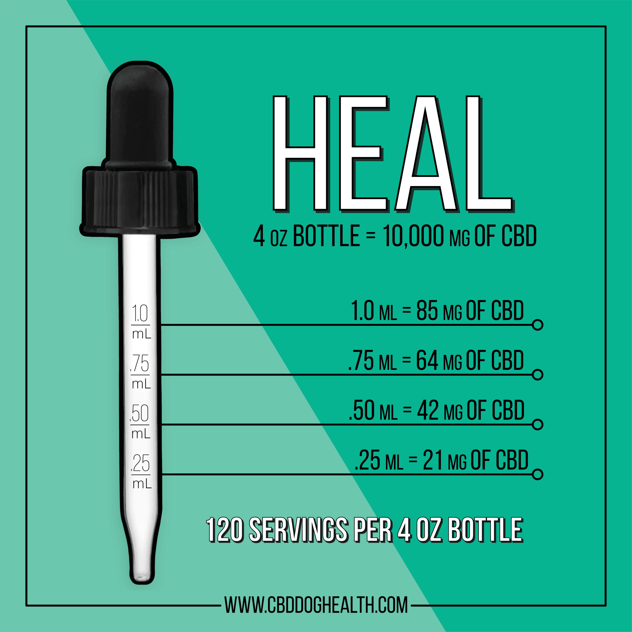 HEAL Horse - Image 5