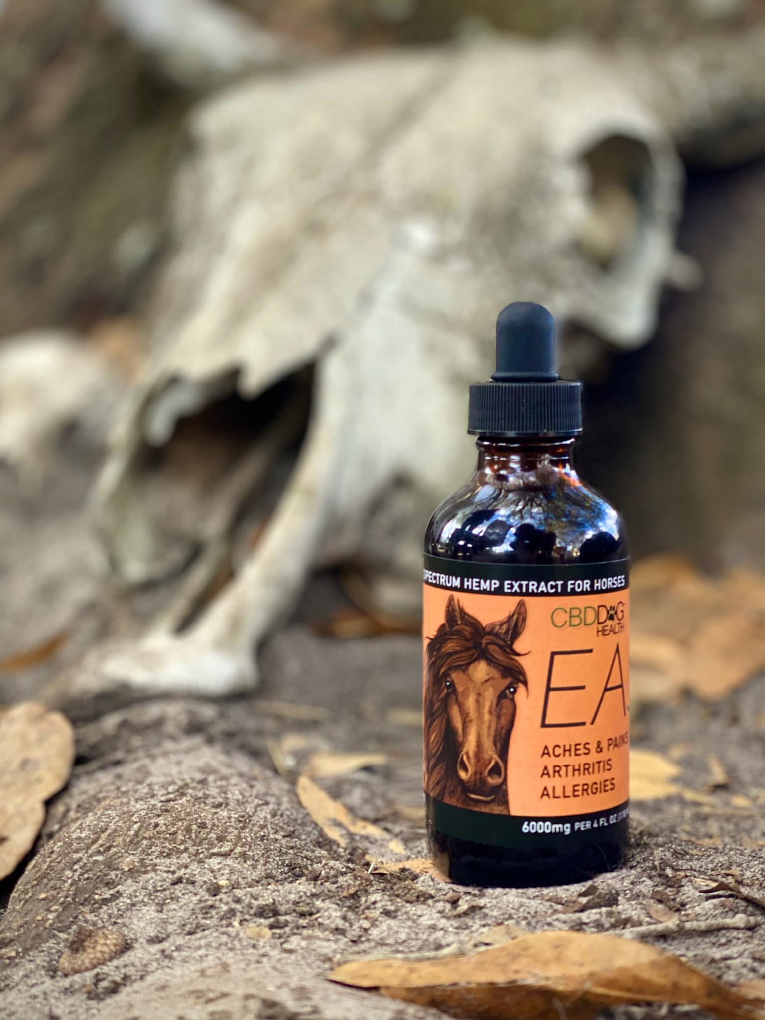 EASE Horse - Image 8