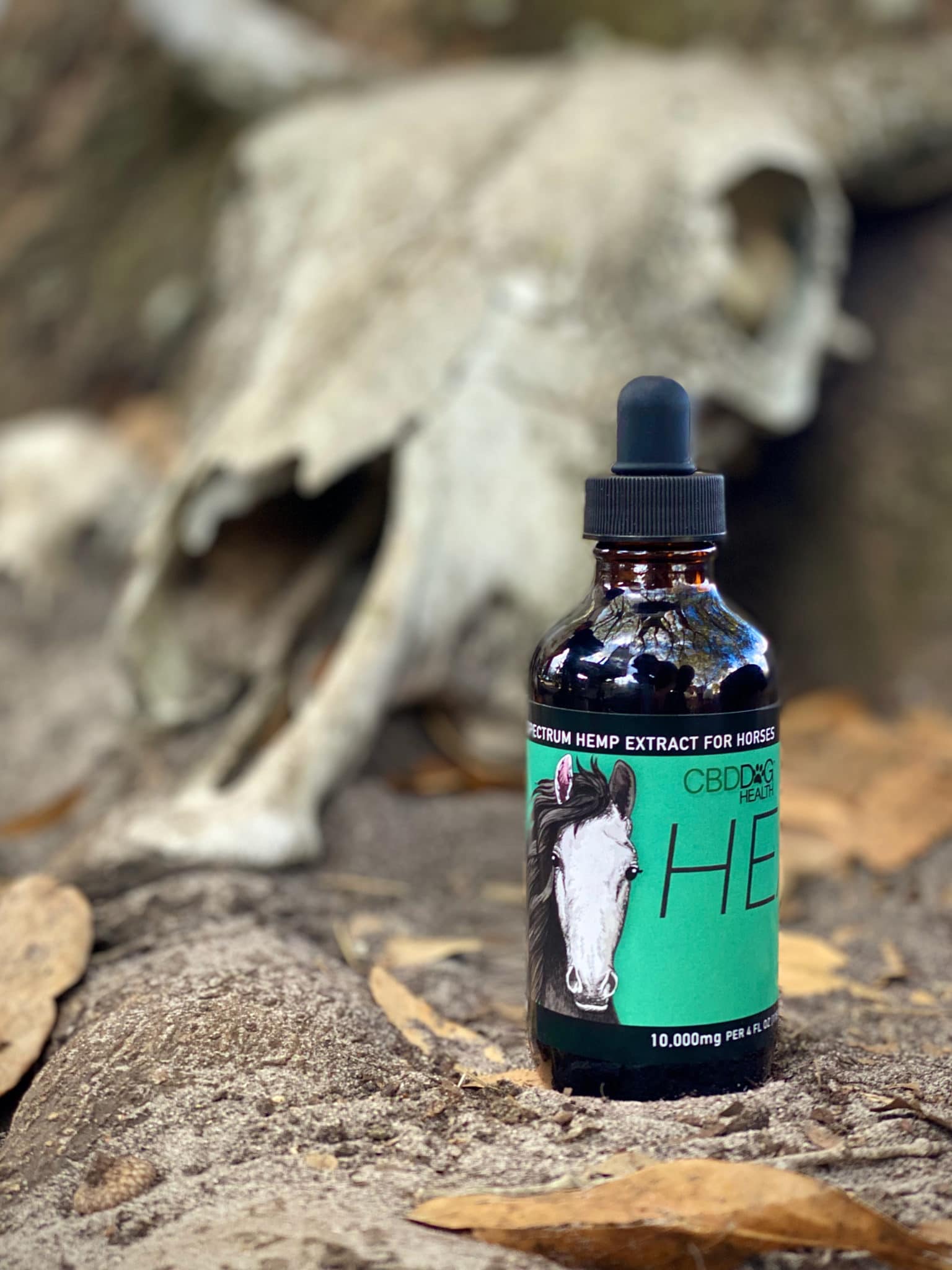 HEAL Horse - Image 8